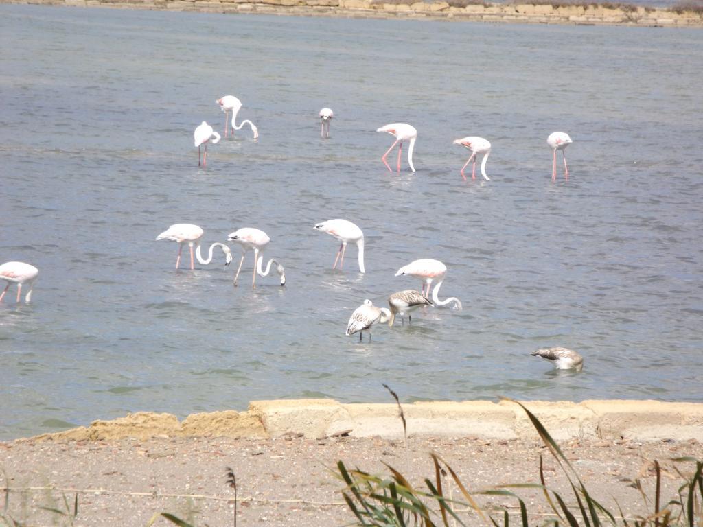 Case Vacanza Torre Lupa Марсала Номер фото